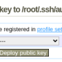 deploy-public-key.png
